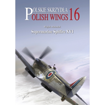 Polish  Wings 16