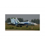 HAD48171 Su-27(Russian 08 shark) Decal sheet 1:48