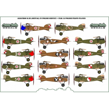 D72100 Albatros DIII (OEF) in Polish Service +  Flik 3J Polish pilots planes
