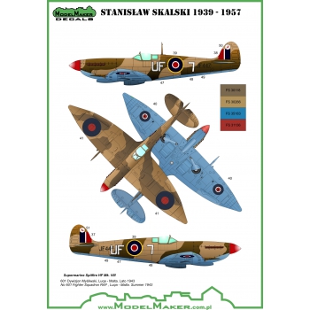 D72057A Stanislaw Skalski planes