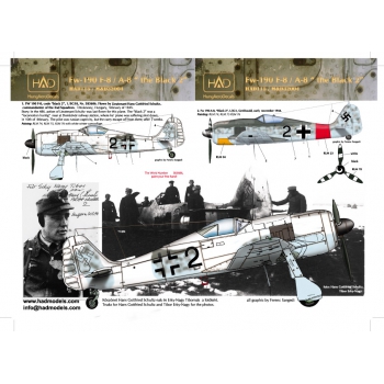HAD72115 Fw-190 F-8 / A-8  (Luftwaffe "black 2")