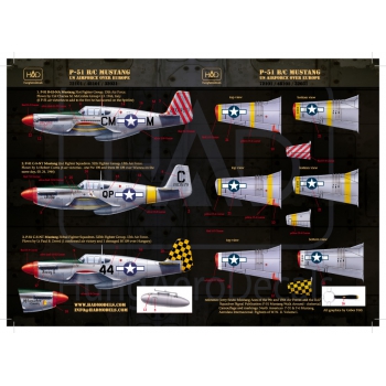  HAD48101 P-51 B Mustang
