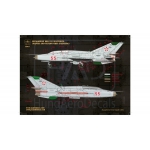 HAD48157 MiG-21 UM HUnAF stencils for DDR and Silver painting 1:48