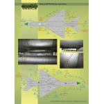 D72020 MiG-21PFM/M/MF/bis Polish stencils