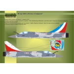 Mirage 2000C Sirenes et Cigognes