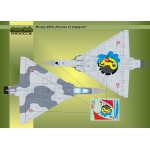 Mirage 2000C Sirenes et Cigognes