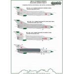 D48153 MiG-21 in Polish service exclusive edition part IV