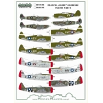 D48191  Francis „GABBY” Gabreski planes part I